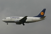 Lufthansa Boeing 737-530 (D-ABIL) at  Frankfurt am Main, Germany