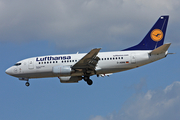 Lufthansa Boeing 737-530 (D-ABIM) at  Frankfurt am Main, Germany