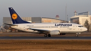 Lufthansa Boeing 737-530 (D-ABIM) at  Frankfurt am Main, Germany