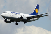 Lufthansa Boeing 737-530 (D-ABIM) at  Frankfurt am Main, Germany