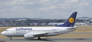 Lufthansa Boeing 737-530 (D-ABIM) at  Frankfurt am Main, Germany