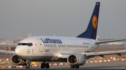 Lufthansa Boeing 737-530 (D-ABIN) at  Frankfurt am Main, Germany