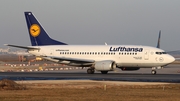 Lufthansa Boeing 737-530 (D-ABIN) at  Frankfurt am Main, Germany