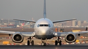 Lufthansa Boeing 737-530 (D-ABIN) at  Frankfurt am Main, Germany