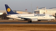 Lufthansa Boeing 737-530 (D-ABIO) at  Frankfurt am Main, Germany