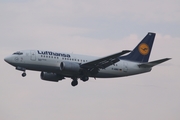 Lufthansa Boeing 737-530 (D-ABIO) at  Frankfurt am Main, Germany