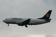 Lufthansa Boeing 737-530 (D-ABIO) at  Frankfurt am Main, Germany