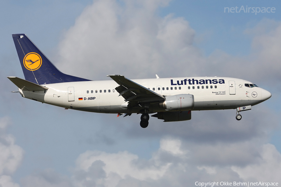 Lufthansa Boeing 737-530 (D-ABIP) | Photo 52354