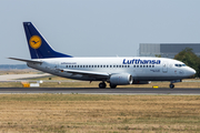 Lufthansa Boeing 737-530 (D-ABIP) at  Frankfurt am Main, Germany
