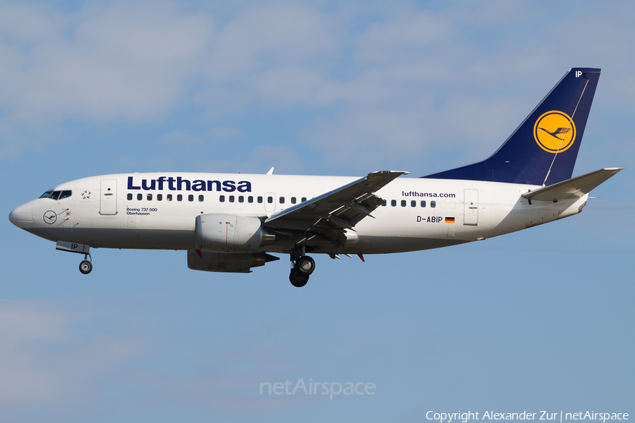Lufthansa Boeing 737-530 (D-ABIP) | Photo 138122