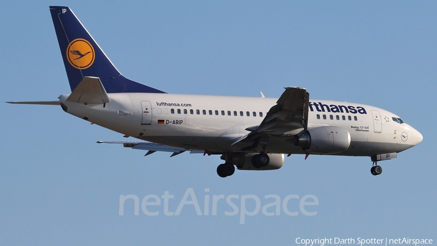 Lufthansa Boeing 737-530 (D-ABIP) | Photo 217261