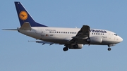 Lufthansa Boeing 737-530 (D-ABIP) at  Frankfurt am Main, Germany