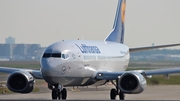 Lufthansa Boeing 737-530 (D-ABIP) at  Frankfurt am Main, Germany