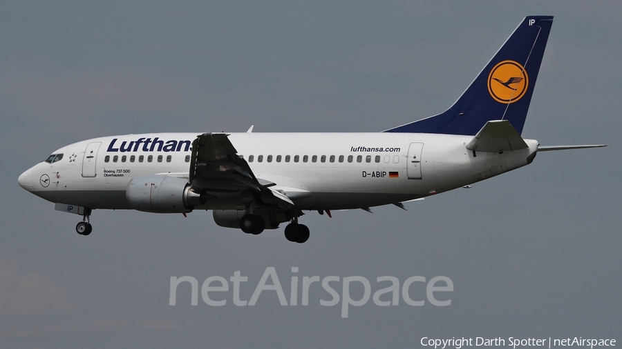 Lufthansa Boeing 737-530 (D-ABIP) | Photo 218973