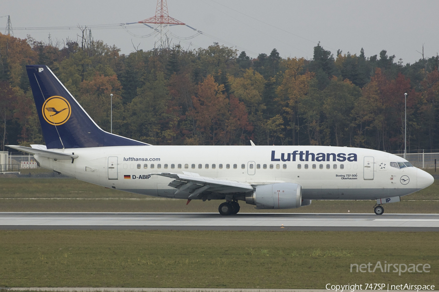 Lufthansa Boeing 737-530 (D-ABIP) | Photo 47299