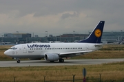 Lufthansa Boeing 737-530 (D-ABIP) at  Frankfurt am Main, Germany