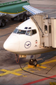Lufthansa Boeing 737-530 (D-ABIP) at  Hamburg - Fuhlsbuettel (Helmut Schmidt), Germany