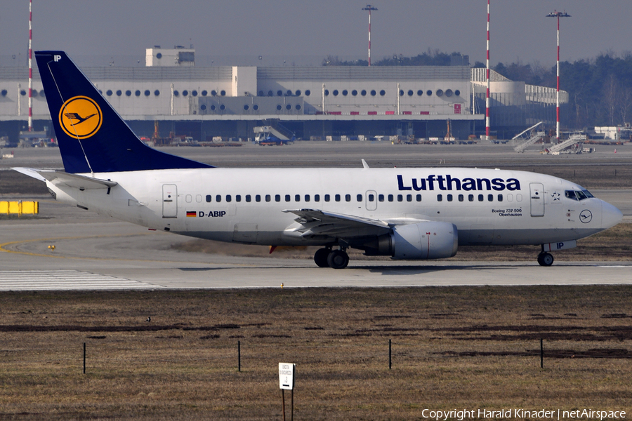 Lufthansa Boeing 737-530 (D-ABIP) | Photo 308903