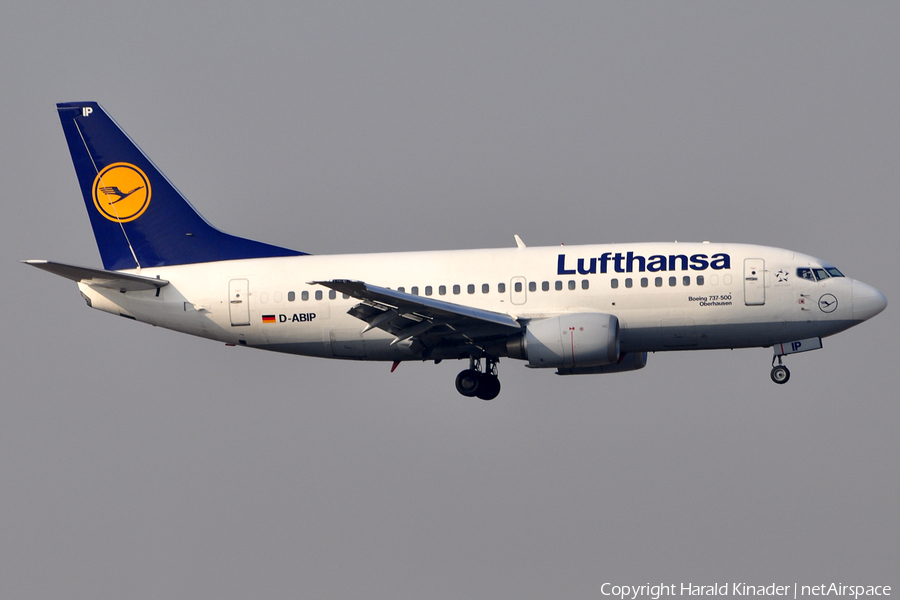 Lufthansa Boeing 737-530 (D-ABIP) | Photo 308904