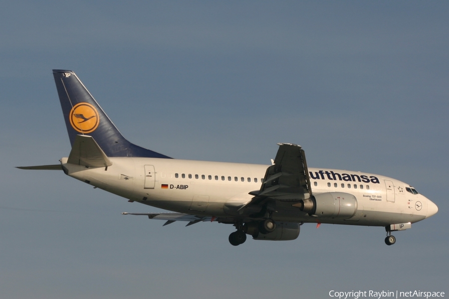 Lufthansa Boeing 737-530 (D-ABIP) | Photo 558485