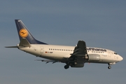 Lufthansa Boeing 737-530 (D-ABIP) at  Zurich - Kloten, Switzerland