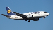 Lufthansa Boeing 737-530 (D-ABIR) at  Frankfurt am Main, Germany