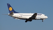 Lufthansa Boeing 737-530 (D-ABIR) at  Frankfurt am Main, Germany