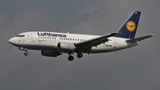 Lufthansa Boeing 737-530 (D-ABIR) at  Frankfurt am Main, Germany
