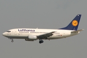 Lufthansa Boeing 737-530 (D-ABIR) at  Frankfurt am Main, Germany