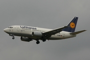 Lufthansa Boeing 737-530 (D-ABIR) at  Frankfurt am Main, Germany