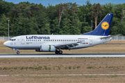 Lufthansa Boeing 737-530 (D-ABIR) at  Frankfurt am Main, Germany