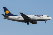 Lufthansa Boeing 737-530 (D-ABIR) at  Frankfurt am Main, Germany