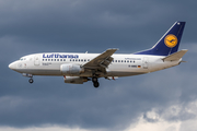 Lufthansa Boeing 737-530 (D-ABIS) at  Frankfurt am Main, Germany