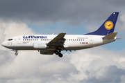 Lufthansa Boeing 737-530 (D-ABIS) at  Frankfurt am Main, Germany