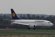 Lufthansa Boeing 737-530 (D-ABIT) at  Dusseldorf - International, Germany