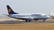 Lufthansa Boeing 737-530 (D-ABIT) at  Frankfurt am Main, Germany