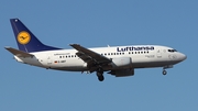 Lufthansa Boeing 737-530 (D-ABIT) at  Frankfurt am Main, Germany