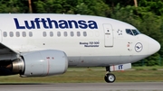 Lufthansa Boeing 737-530 (D-ABIT) at  Frankfurt am Main, Germany
