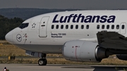Lufthansa Boeing 737-530 (D-ABIT) at  Frankfurt am Main, Germany