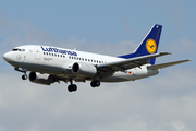 Lufthansa Boeing 737-530 (D-ABIT) at  Frankfurt am Main, Germany