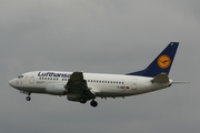 Lufthansa Boeing 737-530 (D-ABIT) at  Frankfurt am Main, Germany