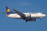 Lufthansa Boeing 737-530 (D-ABIT) at  Frankfurt am Main, Germany