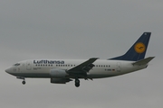 Lufthansa Boeing 737-530 (D-ABIU) at  Frankfurt am Main, Germany