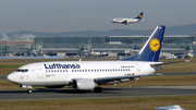 Lufthansa Boeing 737-530 (D-ABIU) at  Frankfurt am Main, Germany