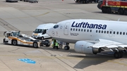 Lufthansa Boeing 737-530 (D-ABIW) at  Dusseldorf - International, Germany