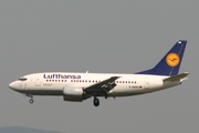 Lufthansa Boeing 737-530 (D-ABIW) at  Frankfurt am Main, Germany