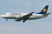 Lufthansa Boeing 737-530 (D-ABIX) at  Amsterdam - Schiphol, Netherlands