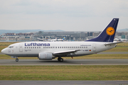 Lufthansa Boeing 737-530 (D-ABIY) at  Frankfurt am Main, Germany