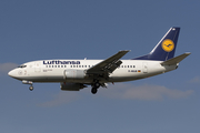 Lufthansa Boeing 737-530 (D-ABJB) at  London - Heathrow, United Kingdom