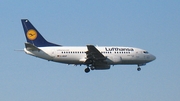 Lufthansa Boeing 737-530 (D-ABJF) at  Dusseldorf - International, Germany